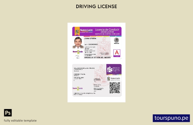 Plantilla de licencia de conducir de México Nuevo León lista para imprimir
